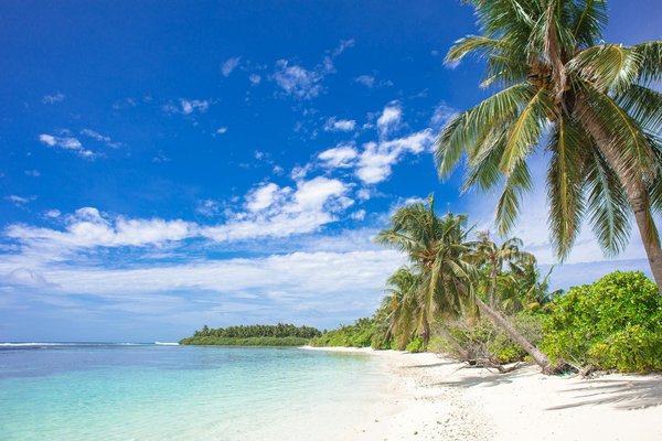 Quels sont les meilleurs conseils pour une randonnée en raquettes dans les montagnes de la Forêt-Noire, Allemagne ?