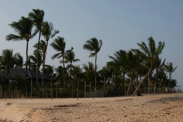 Minibus 9 places en location : voyagez confortablement et librement